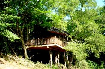 Treehouse holiday near Marciac