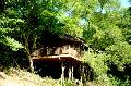 Click to view Treehouse holiday near Marciac