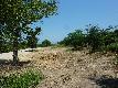 Property sale, Land  in carcassonne